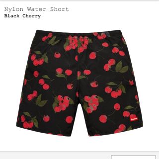 シュプリーム(Supreme)のsupreme Nylon Water Short Lサイズ(水着)