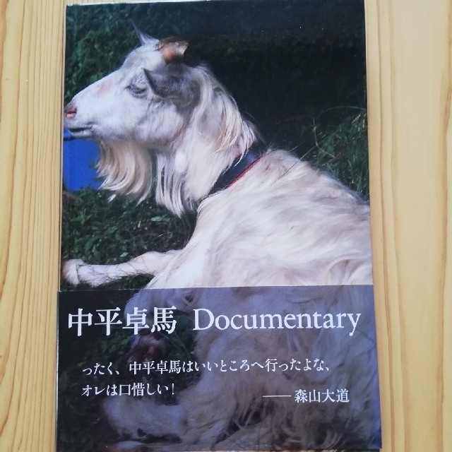 中平卓馬　Documentary