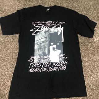 ステューシー(STUSSY)のSTUSSY Tシャツ(Tシャツ/カットソー(半袖/袖なし))