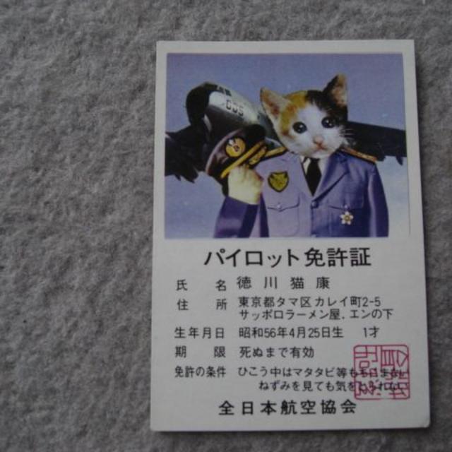 なめんなよ　徳川猫康　カード  エンタメ/ホビーのアニメグッズ(カード)の商品写真