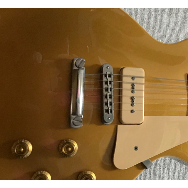 Gibson(ギブソン)のGIBSON Les Paul standard  楽器のギター(エレキギター)の商品写真