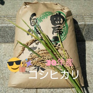 はちみつ様専用です☺コシヒカリ玄米10kg(米/穀物)
