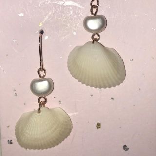 貝殻のピアス(ピアス)