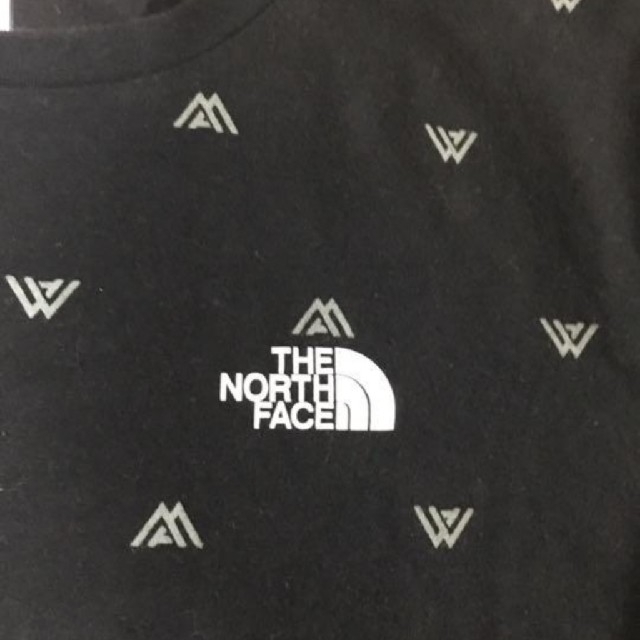 THE NORTH FACE(ザノースフェイス)の【みちゃ様専用】ノースフェイス　Ｔシャツ メンズのトップス(Tシャツ/カットソー(半袖/袖なし))の商品写真