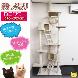 キャットタワー 突っ張り 大型 ハンモック 多頭飼い 爪とぎ 230~250(猫)