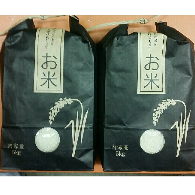 白米　H30年長野県産　コシヒカリ　米/穀物