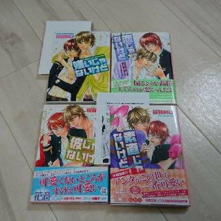 ～じゃないけどシリーズ4冊(ボーイズラブ(BL))