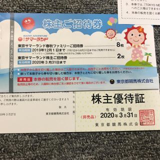 東京サマーランド 株主優待 一冊  その②(遊園地/テーマパーク)