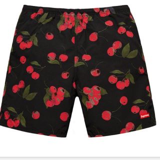 シュプリーム(Supreme)のsupreme Nylon Water Short(水着)