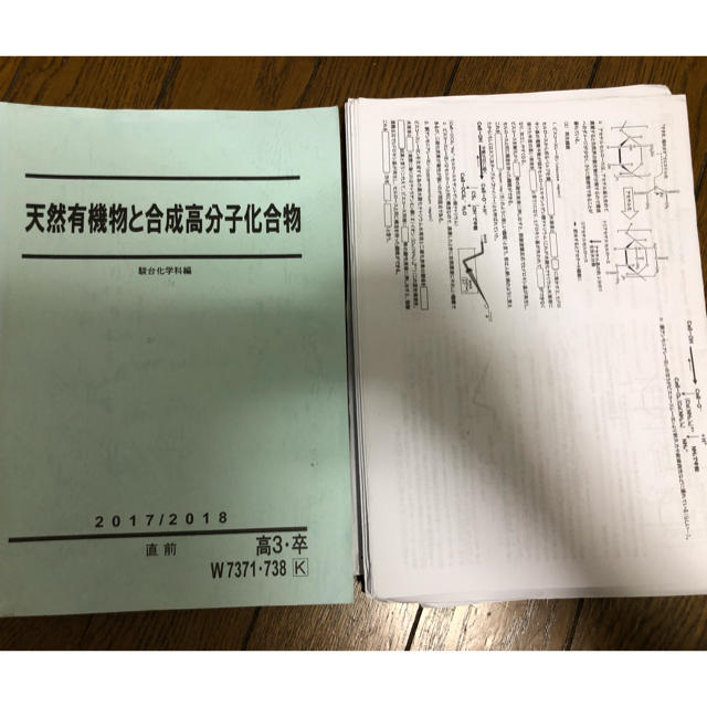 駿台 天然高分子 山下先生