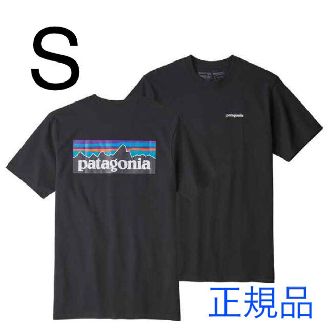 最新2019 パタゴニア Tシャツ 新品 2着同梱版