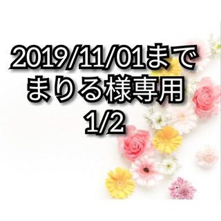 2019/11/01まで　まりる様専用　1/2(ピアス)