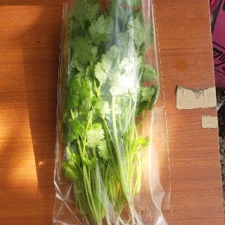 無農薬パクチー　100g(野菜)