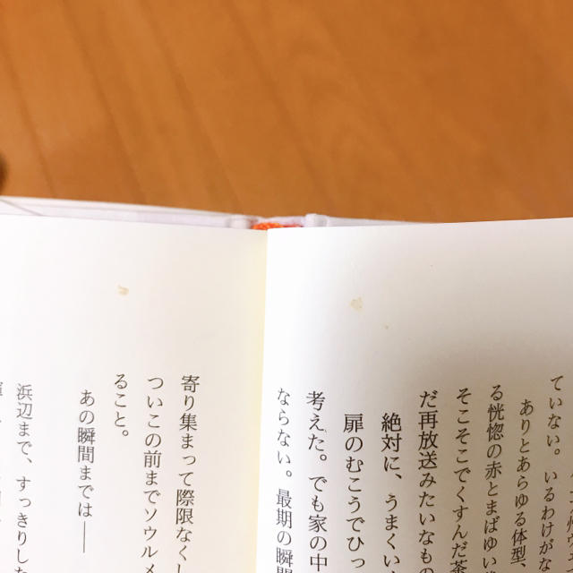 ほんとうに大切なこと / 松本美菜子 エンタメ/ホビーの本(文学/小説)の商品写真