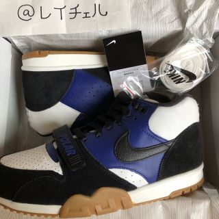 ナイキ(NIKE)のPOLAR NIKESB AIR TRAINER 1 27.5cm 国内購入(スニーカー)