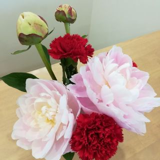 いーちゃん様専用　花の種(その他)