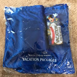 ディズニー(Disney)のディズニーランドバケーションパッケージ特典(ノベルティグッズ)