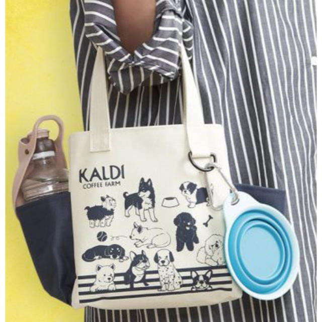 KALDI(カルディ)のKALDI おさんぽバッグ 数量限定品 ハンドメイドのファッション小物(バッグ)の商品写真