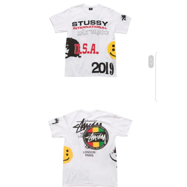 STUSSY cactus plant flea market tee sサイズ