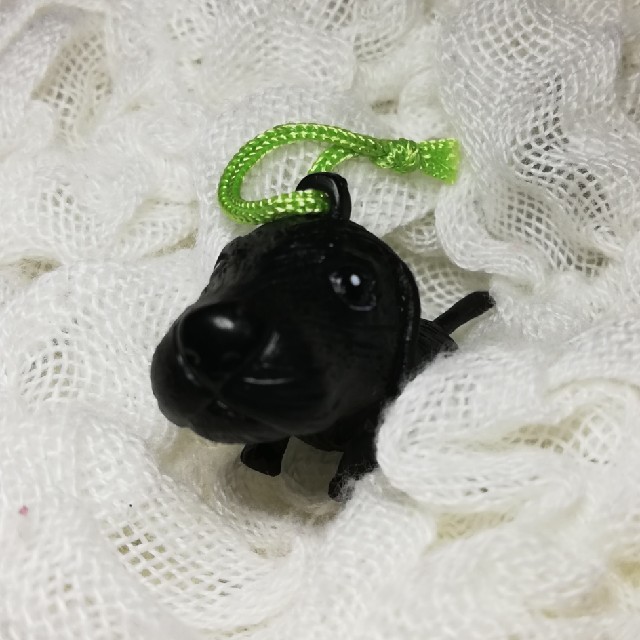 黒犬 キーホルダー レディースのファッション小物(キーホルダー)の商品写真