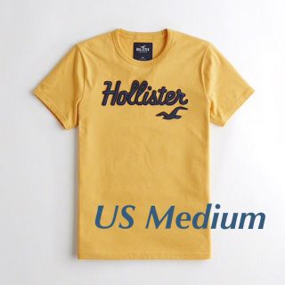 ホリスター(Hollister)の新品★ ホリスター ロゴ刺繍 半袖Tシャツ(Tシャツ/カットソー(半袖/袖なし))