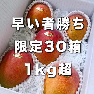 【30箱限定】宮古島産完熟マンゴー1kg(2〜3個) (フルーツ)