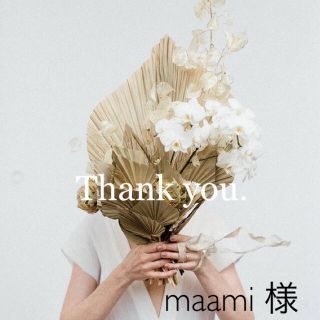 ⁂ maami さま 専用 ⁂(その他)