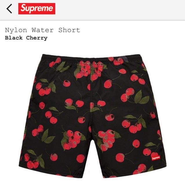 Supreme Nylon Water short M 19ss