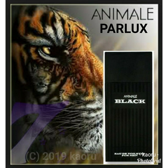 PARLUX(パルロックス)の【訳有り新品 SALE】パルロックス アニマル ブラック フォーメン EDT コスメ/美容の香水(香水(男性用))の商品写真