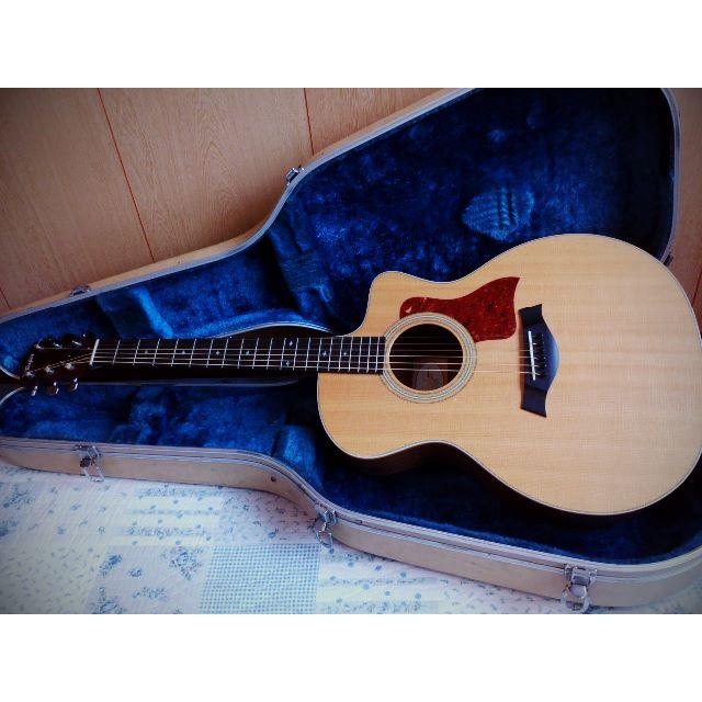 アコースティックギター Taylor317e セット www.krzysztofbialy.com