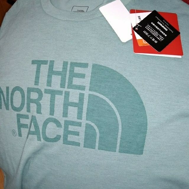THE NORTH FACE(ザノースフェイス)のザ・ノースフェイス　レディース　ショートスリーブカラーへザーロゴティー

 レディースのトップス(Tシャツ(半袖/袖なし))の商品写真