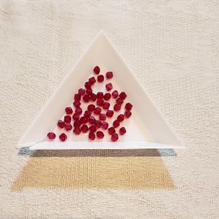 スワロフスキー(SWAROVSKI)のスワロフスキー　ビーズ#5321ルビー(各種パーツ)