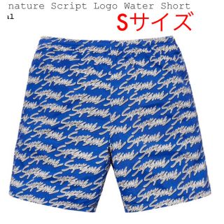 シュプリーム(Supreme)のSignature Script Logo Water Short(水着)