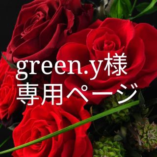 green'y様専用ページ(ネックレス)