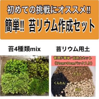 苔リウム作成セット(その他)