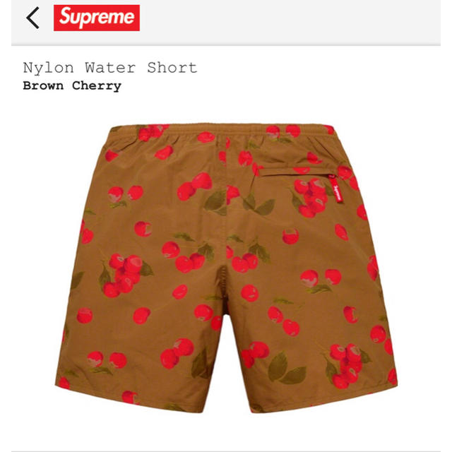 Supreme Nylon Water Short シュプリーム | bombaytools.com