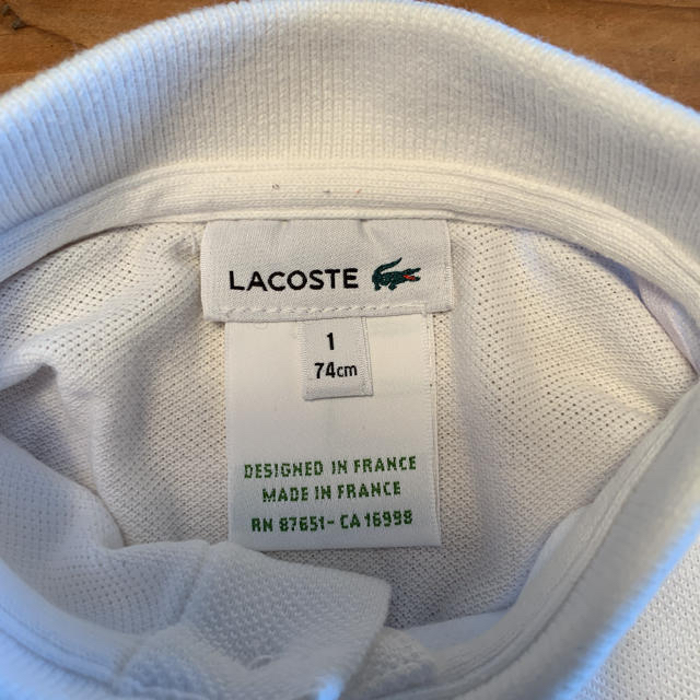 LACOSTE(ラコステ)のラコステ74cm ポロシャツ&ショートパンツ キッズ/ベビー/マタニティのベビー服(~85cm)(シャツ/カットソー)の商品写真