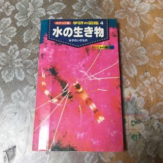 水の生き物  本(語学/参考書)