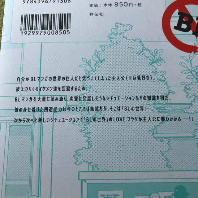 絶対にBLになる世界 絶対BLになりたくない男① エンタメ/ホビーの本(その他)の商品写真