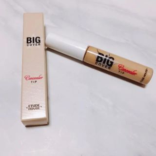 エチュードハウス(ETUDE HOUSE)のビックカバーコンシーラー(コンシーラー)