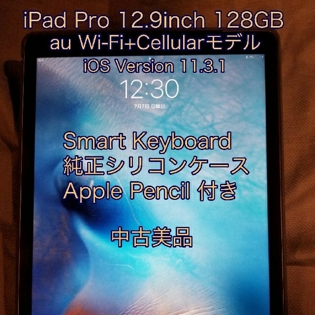 国産正規店 Apple - au iPad Pro 10.5インチ Wi-Fi Cellular 64GBの