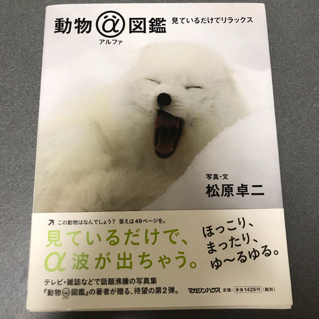 マガジンハウス(マガジンハウス)の動物アルファ図鑑 エンタメ/ホビーの本(絵本/児童書)の商品写真