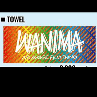 ワニマ(WANIMA)のWANIMAリリパ限定タオル(ミュージシャン)