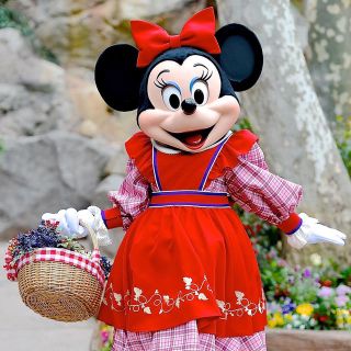 ディズニー(Disney)のミニーグッズ 275様専用(キャラクターグッズ)