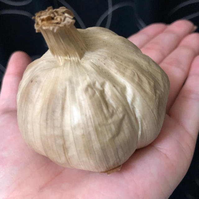 熊本県八代産 熟成 黒にんにく 食品/飲料/酒の食品(野菜)の商品写真