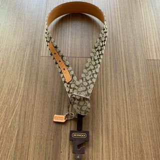 コーチ(COACH)の新品未使用 COACH BELT PETITE 8573 G2(ベルト)