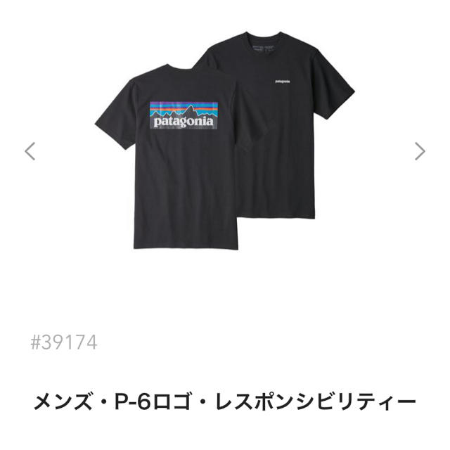 本日発送！土日月セール☆ Patagonia Tシャツ S