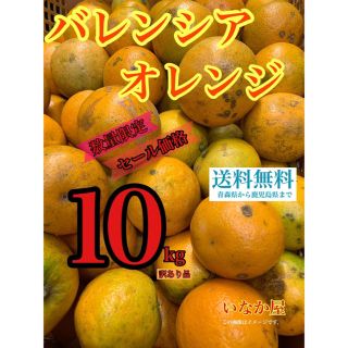 バレンシアオレンジ 訳あり品 タイムセール価格 残り1点 12時まで(フルーツ)