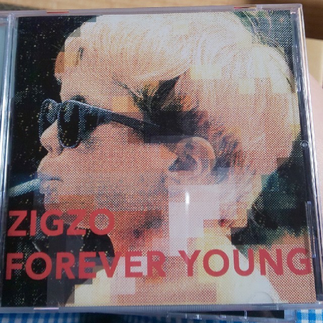 ZIGZO ジグゾー CD エンタメ/ホビーのCD(ポップス/ロック(邦楽))の商品写真