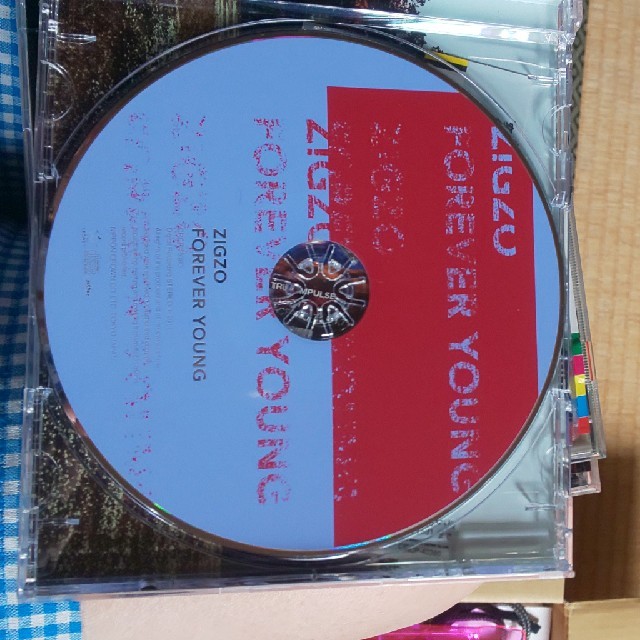 ZIGZO ジグゾー CD エンタメ/ホビーのCD(ポップス/ロック(邦楽))の商品写真